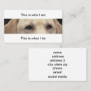 Search for lab business cards Labrador retriever