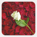 Search for red rose petals stickers Flower