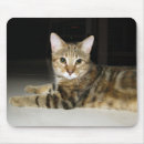 Search for bengal mousepads Pet