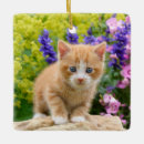 Search for ginger cat christmas tree decorations Kitten