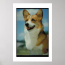 Search for welsh posters Dog