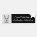 Search for australian cattle dog bumper stickers Blue heeler