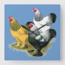Search for brahma art Hen