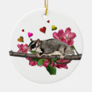 Search for sugar glider christmas tree decorations Gliders