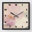 Search for cherry blossom clocks Sakura