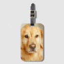 Search for golden retriever gifts Cute