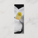 Search for splash business cards Photography