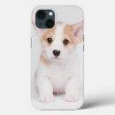 Search for corgi puppy iphone cases Queen elizabeth's
