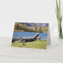 Search for north cards Usa