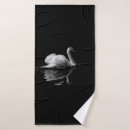 Search for swan photography Nature