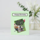 Search for hide postcards Bird