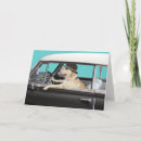 Search for laboratory photography Labrador retriever