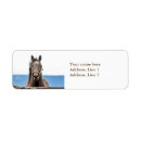 Search for equestrian return address labels Beautiful
