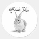 Search for pencil drawing stickers Bunny