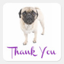 Search for pug dog stickers Puppy