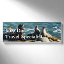 Search for lion name tags Wildlife