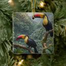 Search for toucan christmas tree decorations Birds