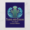Search for turks and caicos postcards Paradise