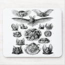 Search for bat mousepads Funny