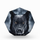 Search for german shepherd photo display Dog