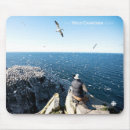 Search for documentary mousepads Wildlife