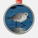 Search for sandpiper christmas tree decorations Wildlife