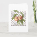 Search for peach thank you cards Fruit