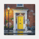Search for dublin magnets Souvenir