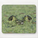 Search for concepts mousepads North america