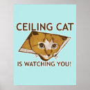Search for ceiling cat Cats