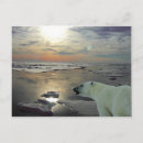 Search for arctic ocean postcards Ice