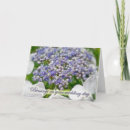 Search for shrubs invitations Plant