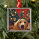 Search for lab christmas tree decorations Festive