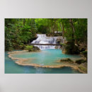 Search for erawan posters Forest