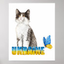 Search for beautiful butterflies posters Butterfly