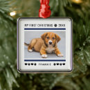 Search for puppies christmas tree decorations Dogs