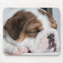 Search for sleeping dog mousepads Puppy