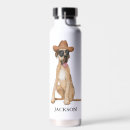 Search for glass water bottles Illustration