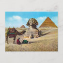Search for excavation postcards Vintage