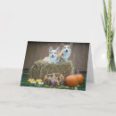 Search for dog halloween cards Cute