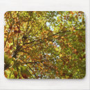 Search for changing mousepads Fall