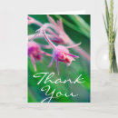 Search for danita delimont cards Flower