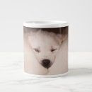 Search for snuggles mugs Puppy