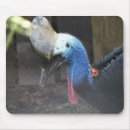 Search for birdy mousepads Birds