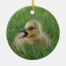 Search for canadian goose christmas tree decorations Bird