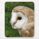 Search for owl mousepads Wild