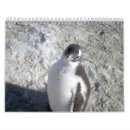 Search for antarctica office supplies gentoo