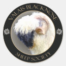 Search for valais stickers Sheep
