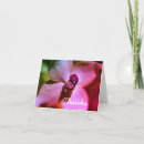 Search for insect thank you cards Nature