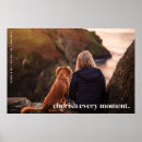 Search for photo pet memorials Memory